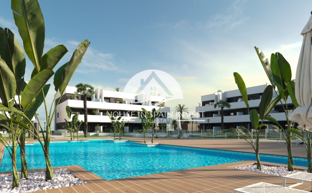 Bungalow planta baja - Obra nueva - Guardamar del Segura - Guardamar - El Raso