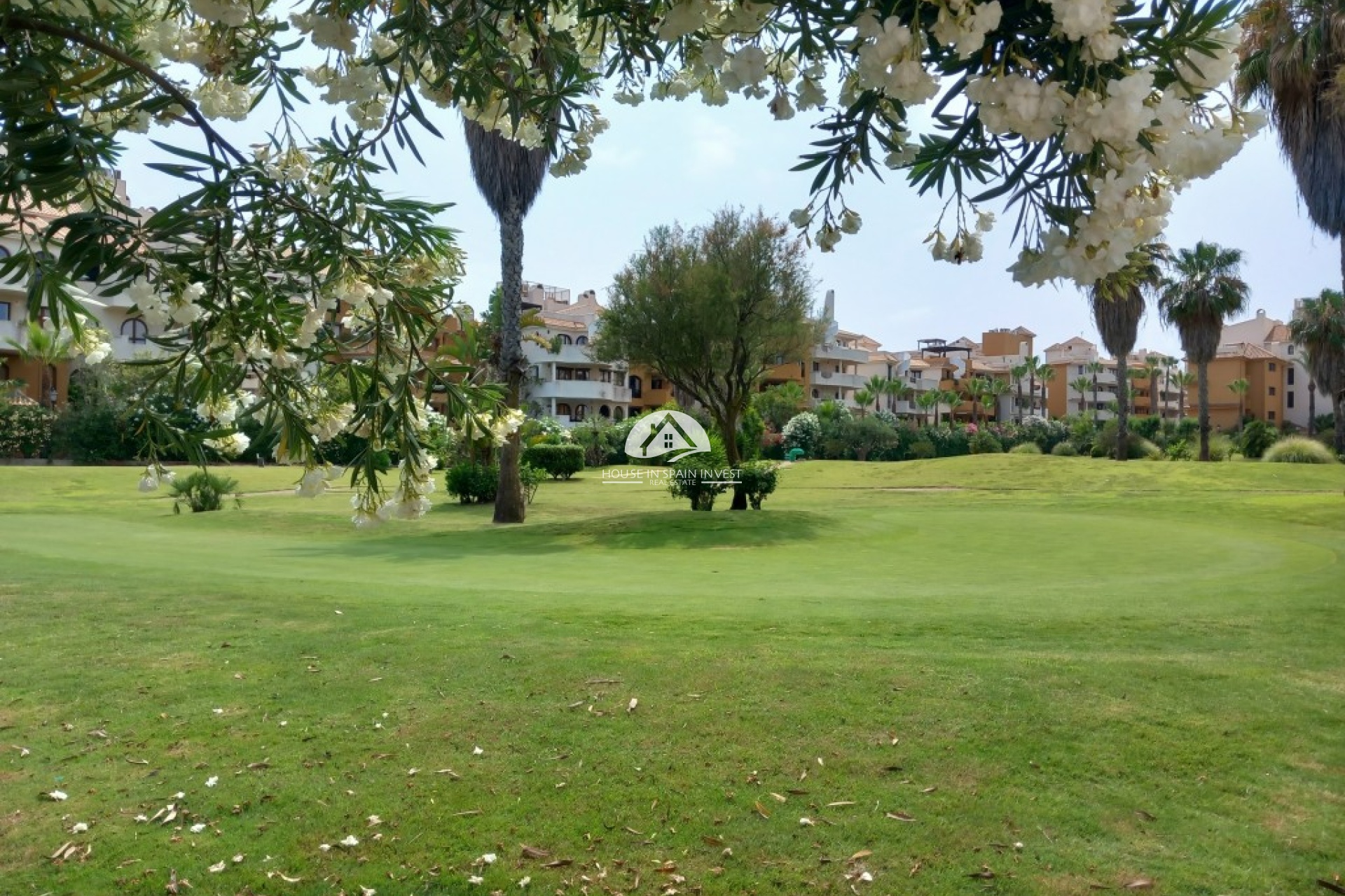 Herverkoop - Appartement - Torrevieja - Punta Prima