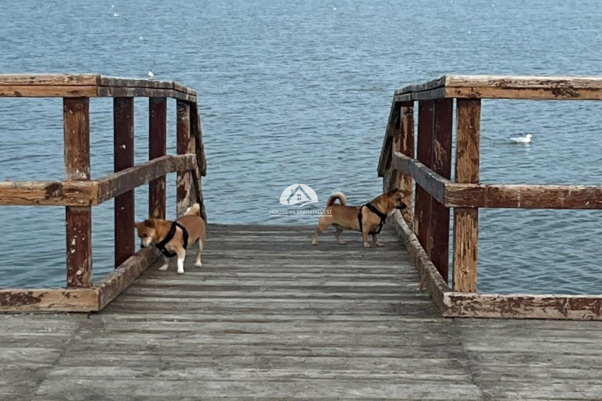 Herverkoop - Rijwoning - San Pedro del Pinatar - Los Antolinos