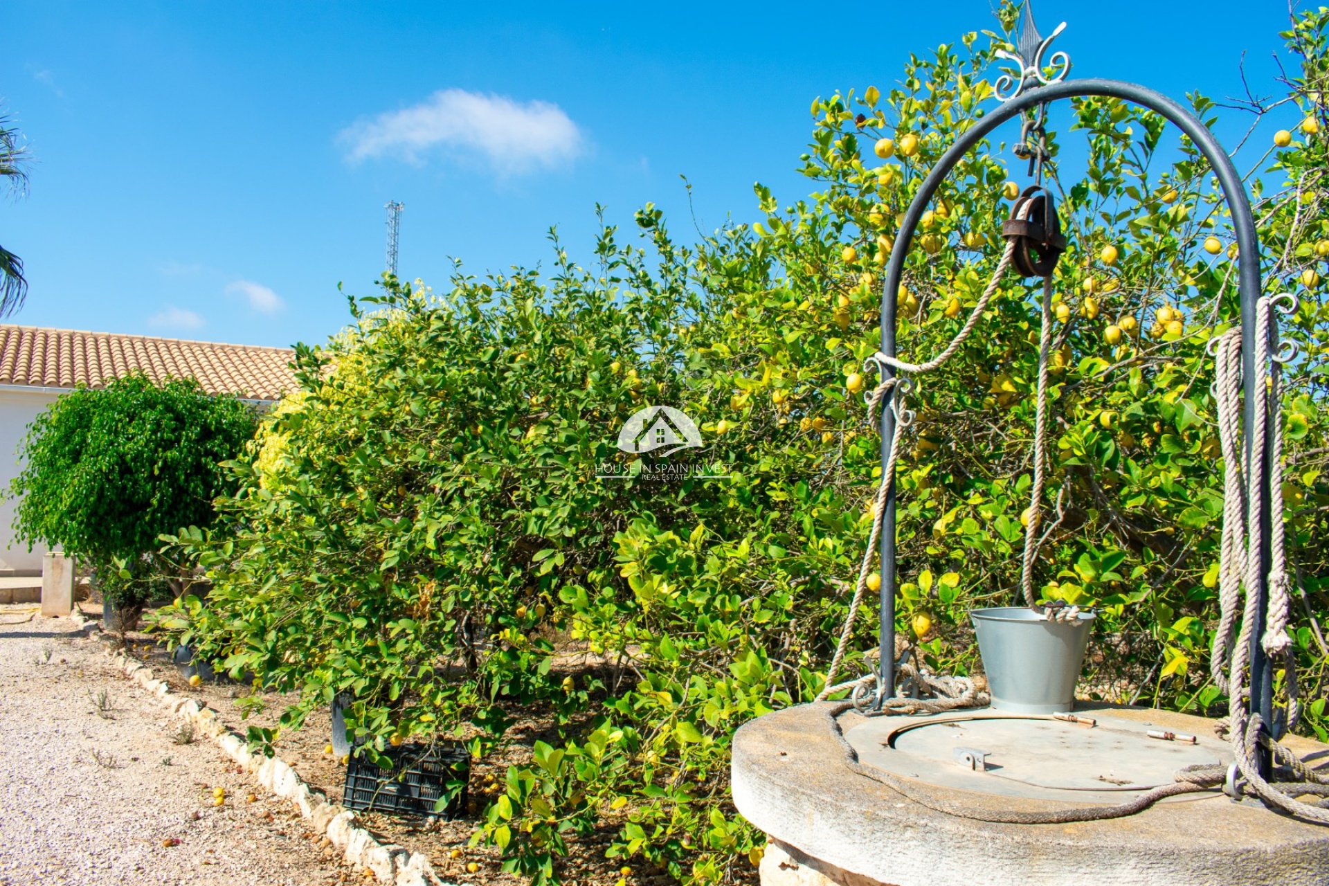 Herverkoop - Villa - Guardamar del Segura - Guardamar - El Raso