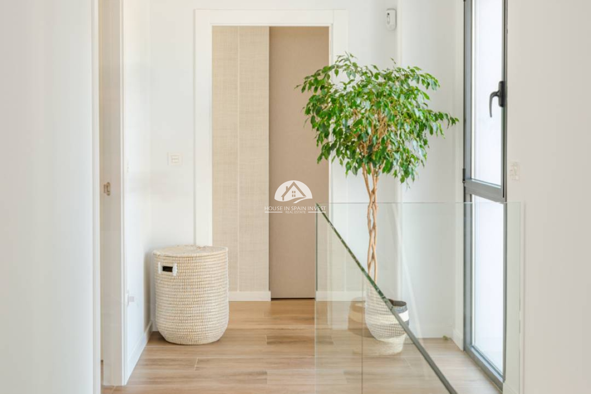 Obra nueva - detached - Molina de Segura