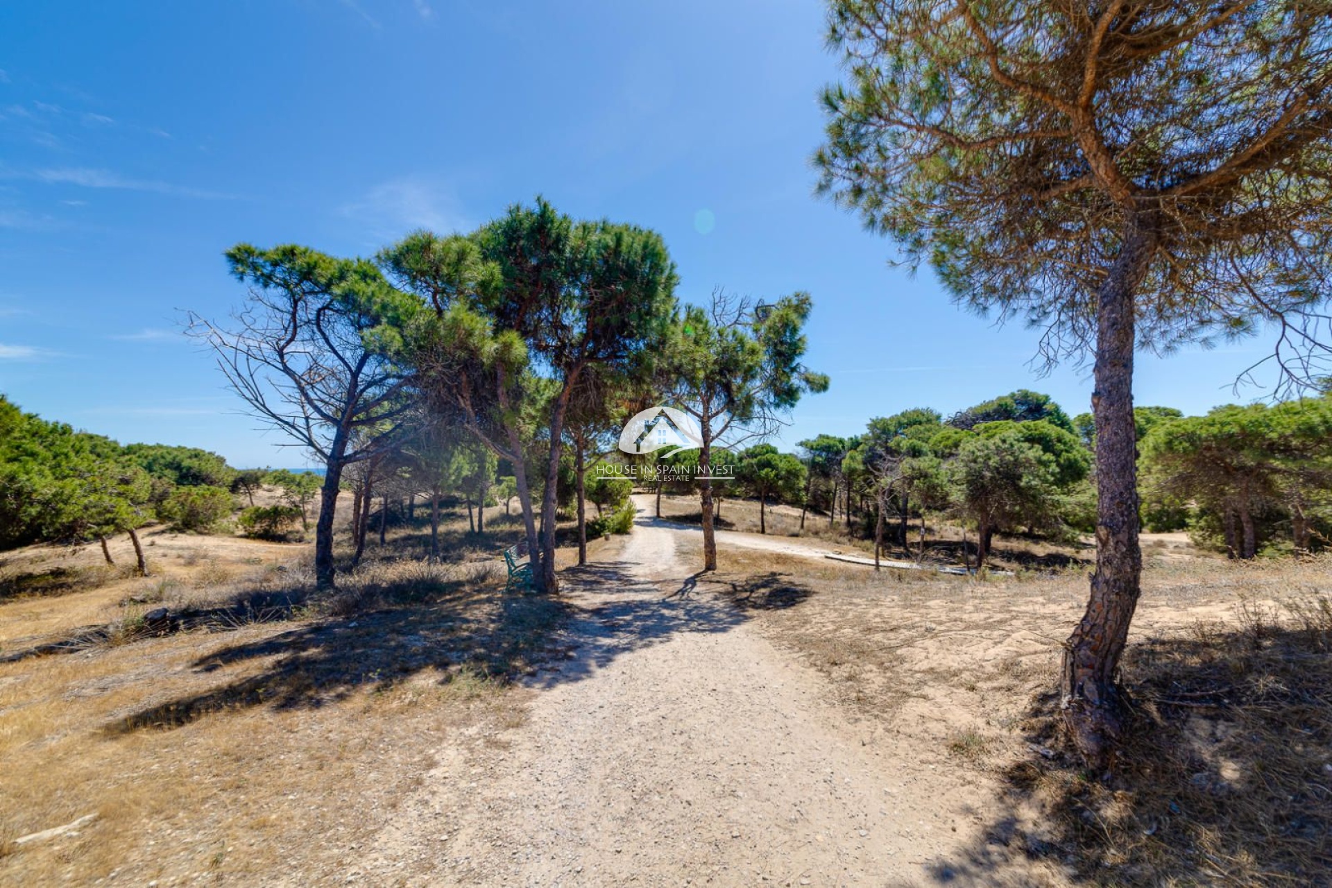 Resale - Apartment  - Guardamar del Segura - Guardamar - El Raso