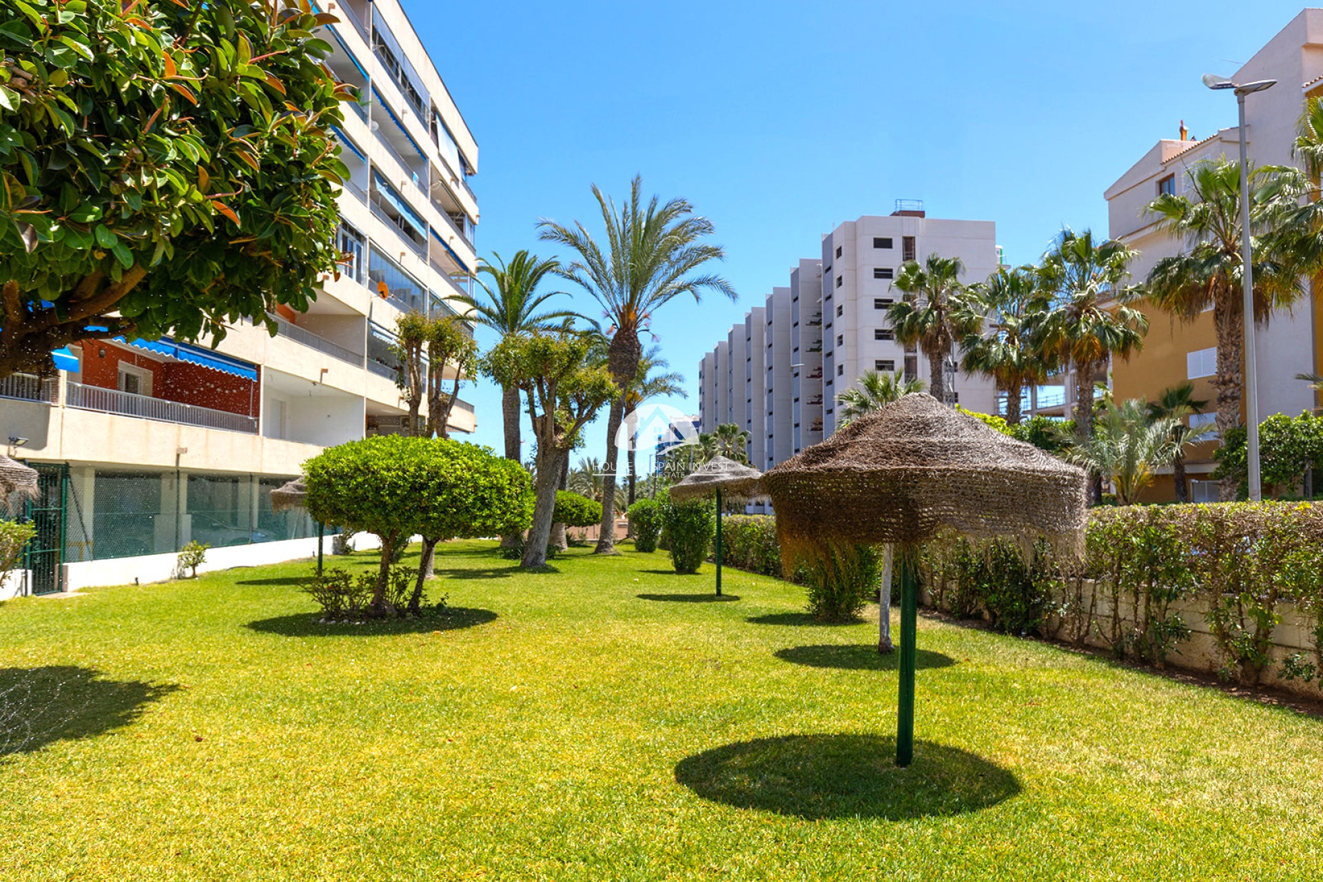 Resale - Apartment  - Torrevieja - Punta Prima  