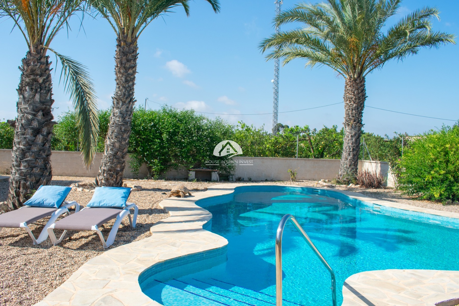 Resale - Villa - Guardamar del Segura - Guardamar - El Raso