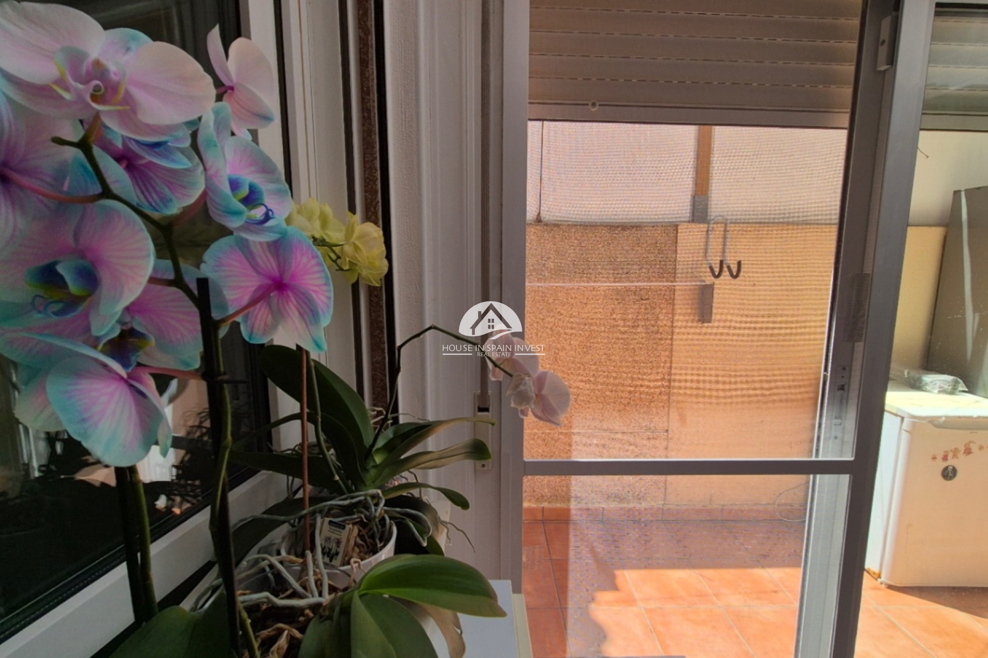 Reventa - Adosado - Torrevieja - Costa Blanca