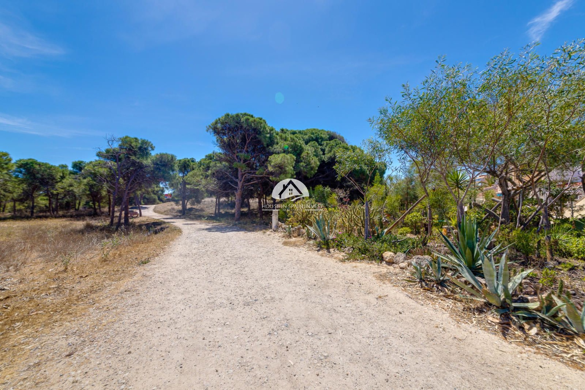 Reventa - Apartamento - Guardamar del Segura - Guardamar - El Raso