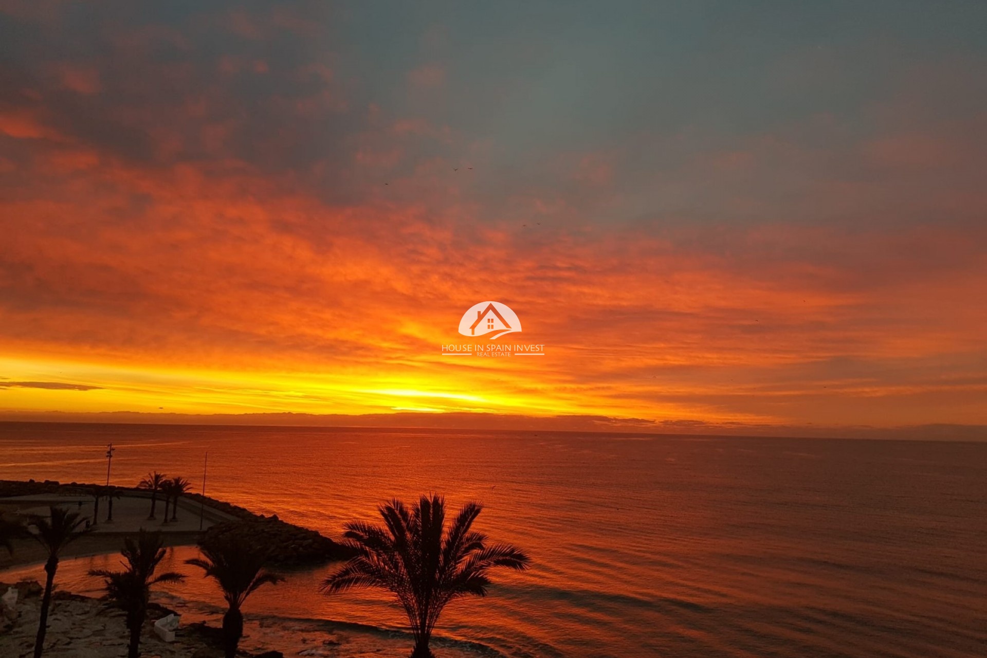 Reventa - Apartamento - Torrevieja - Playa del Cura