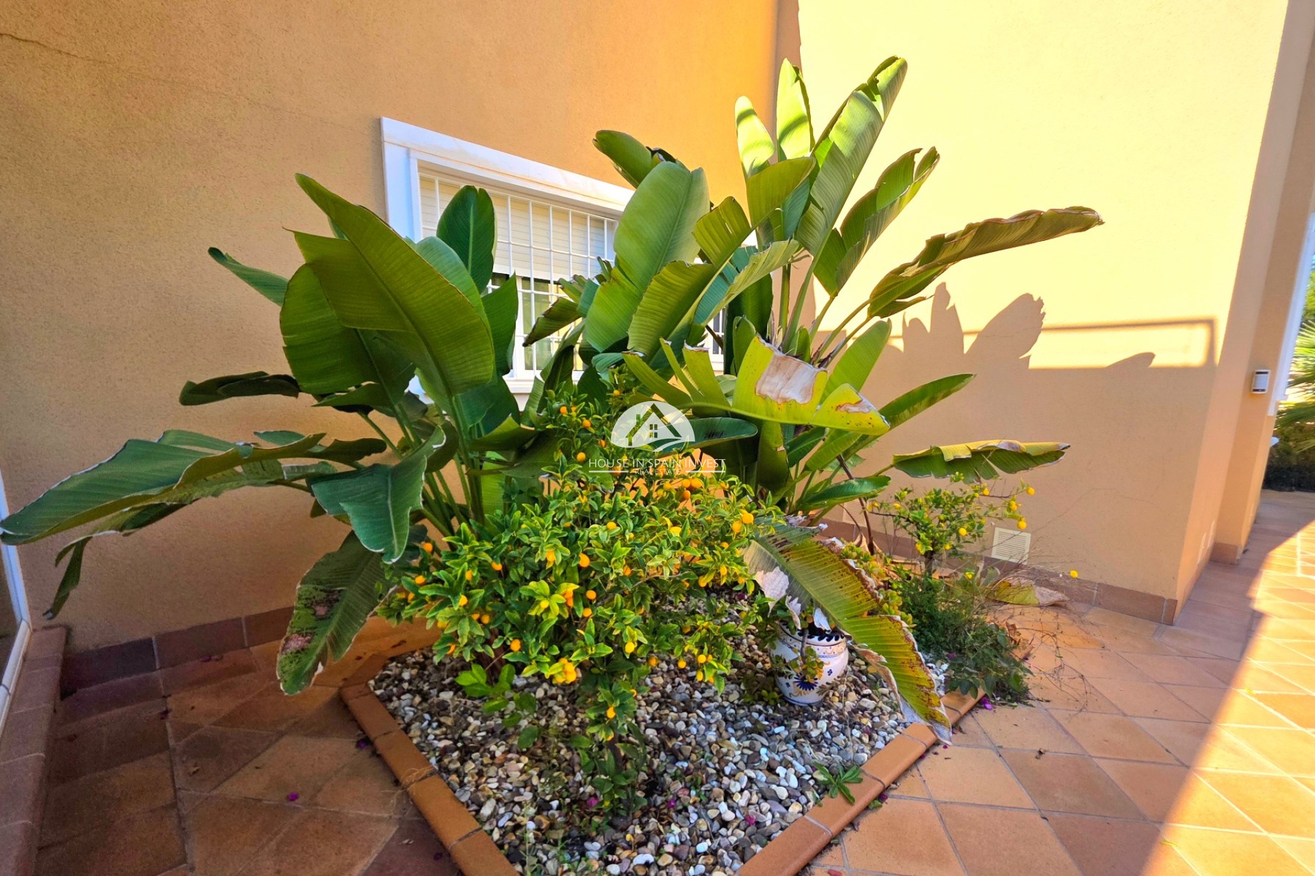 Reventa - Chalet - Torrevieja - Cabo Cervera