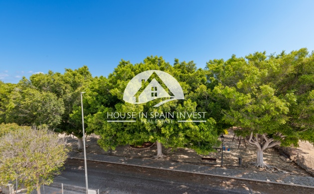 Nieuwbouw   - Villa - Pilar de la Horadada - Costa Blanca