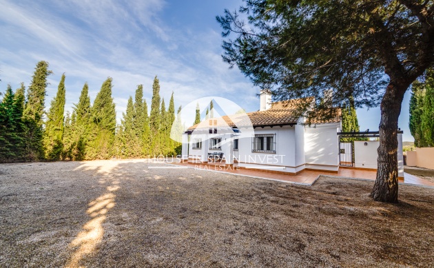 Nieuwbouw Woningen - terraced - Fuente Alamo