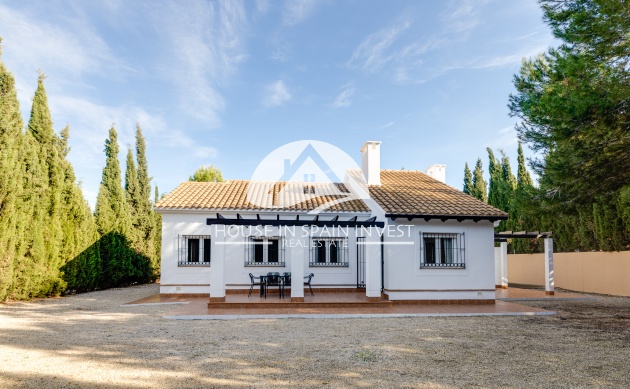 Nieuwbouw Woningen - terraced - Fuente Alamo
