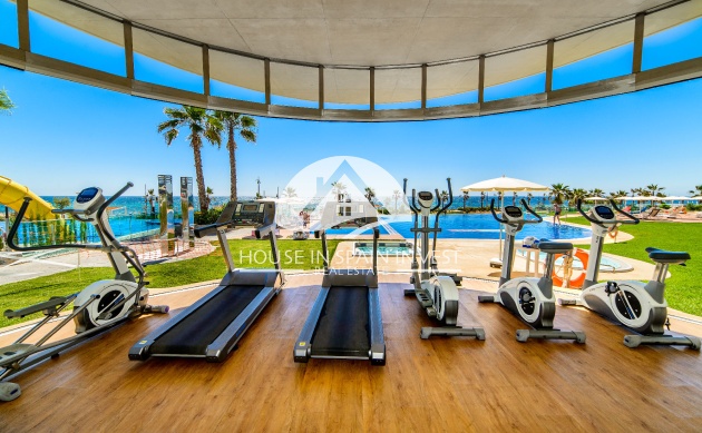 Resale - Penthouse - Torrevieja - Punta Prima  