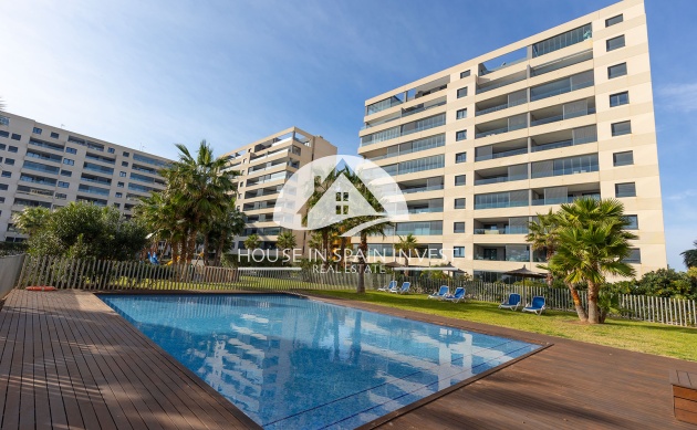 Resale - Penthouse - Torrevieja - Punta Prima  
