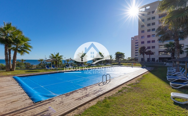 Resale - Penthouse - Torrevieja - Punta Prima  
