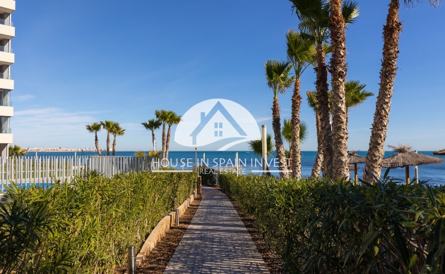 Reventa - Apartamento - Torrevieja - Punta Prima 