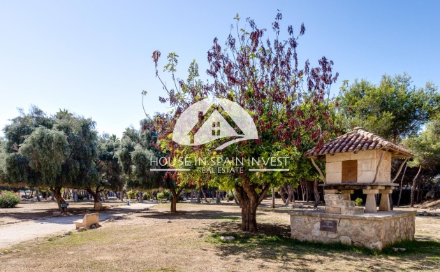 Reventa - Apartamento - Torrevieja - El Acequión - Los Náufragos