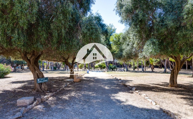 Reventa - Apartamento - Torrevieja - El Acequión - Los Náufragos