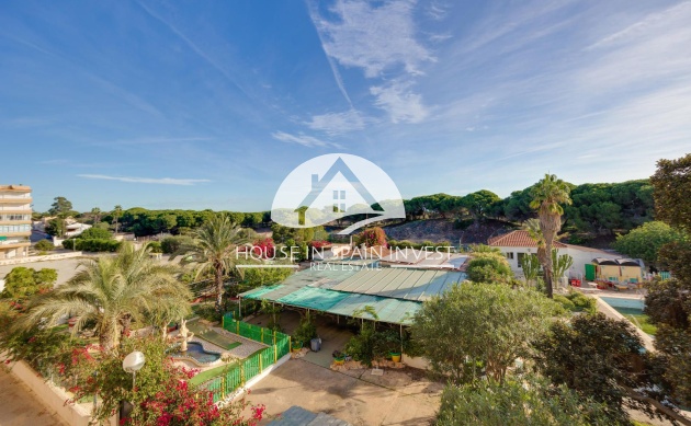 Resale - Apartment  - Guardamar del Segura - Guardamar - El Raso