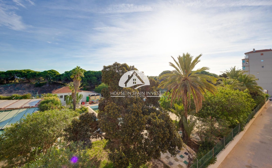 Resale - Apartment  - Guardamar del Segura - Guardamar - El Raso