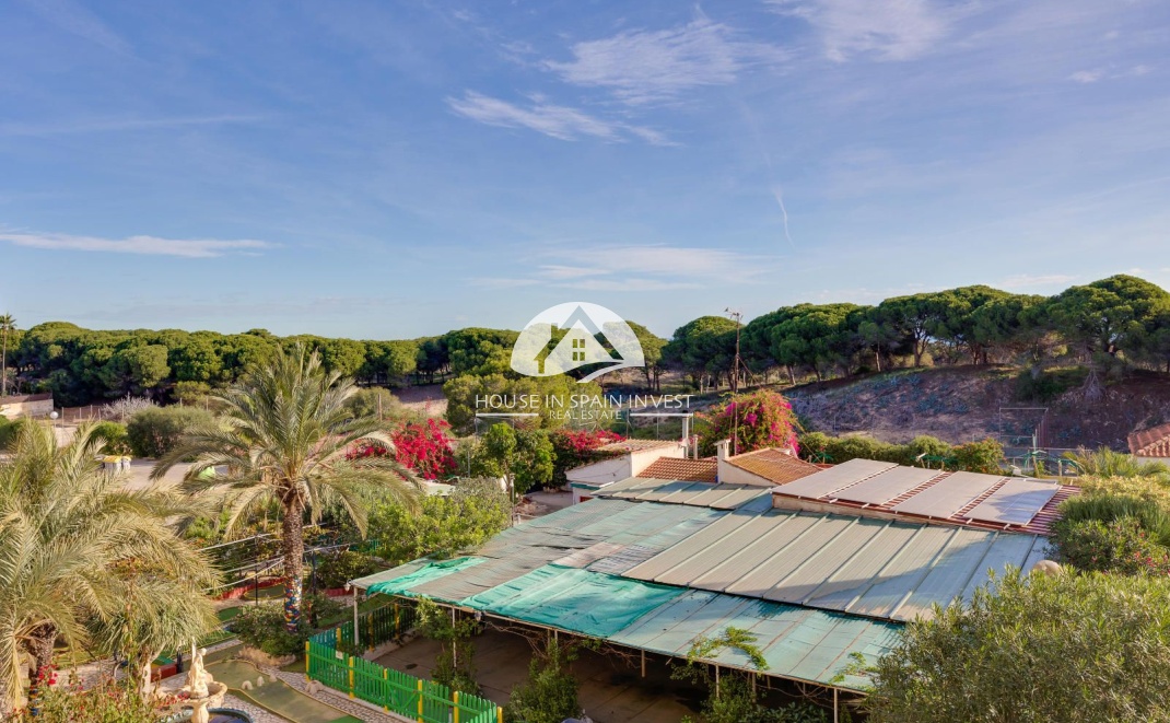 Resale - Apartment  - Guardamar del Segura - Guardamar - El Raso