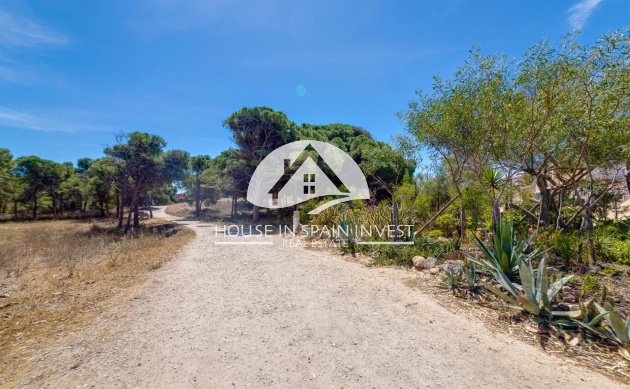 Resale - Apartment  - Guardamar del Segura - Guardamar - El Raso