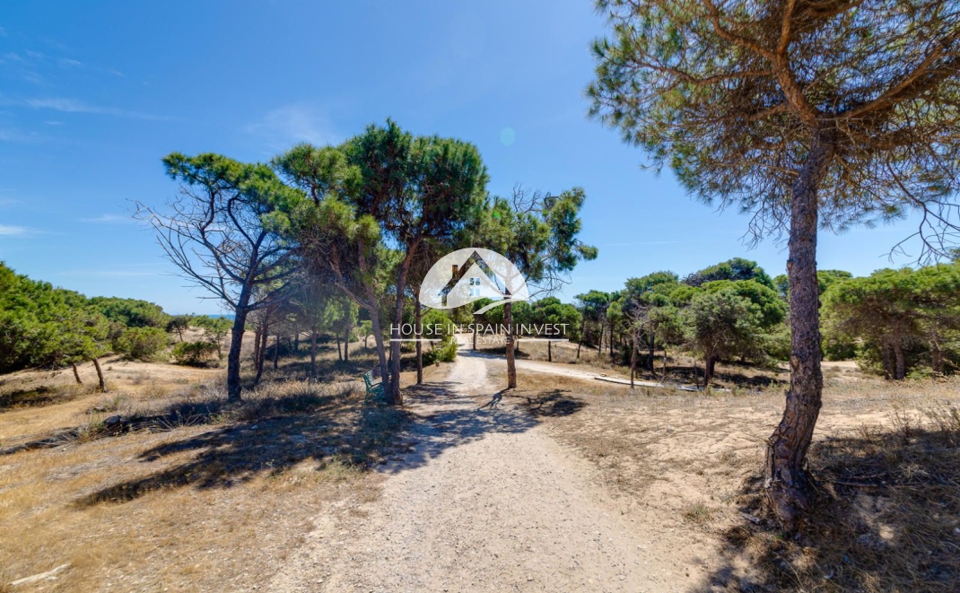 Resale - Apartment  - Guardamar del Segura - Guardamar - El Raso