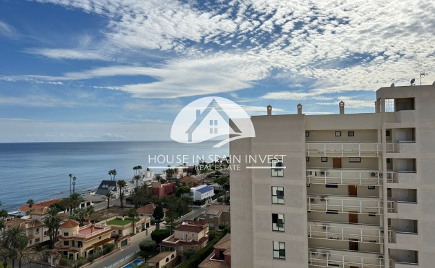 Resale - Apartment  - Torrevieja - La Veleta