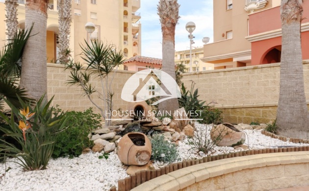 Resale - Apartment  - Torrevieja - Playa de los Locos