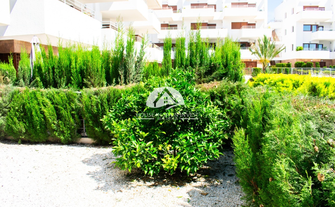 Resale - Apartment  - Orihuela Costa - Lomas De Cabo Roig