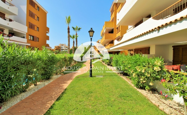Resale - Apartment  - Torrevieja - Punta Prima  
