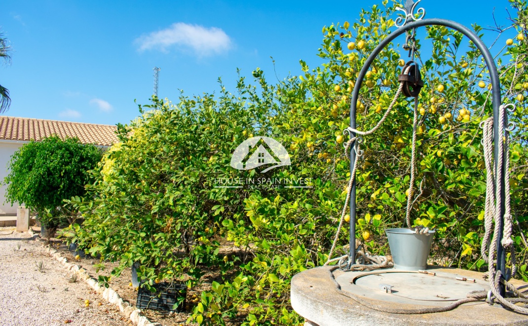 Resale - Villa - Guardamar del Segura - Guardamar - El Raso