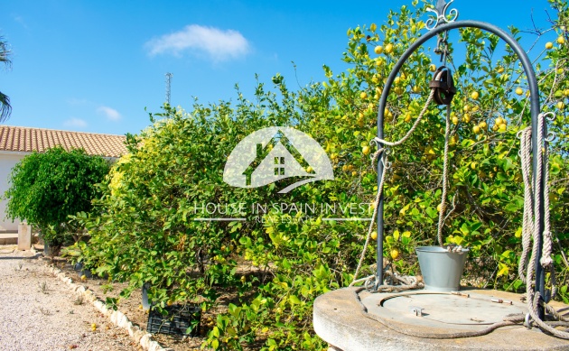 Resale - Villa - Guardamar del Segura - Guardamar - El Raso