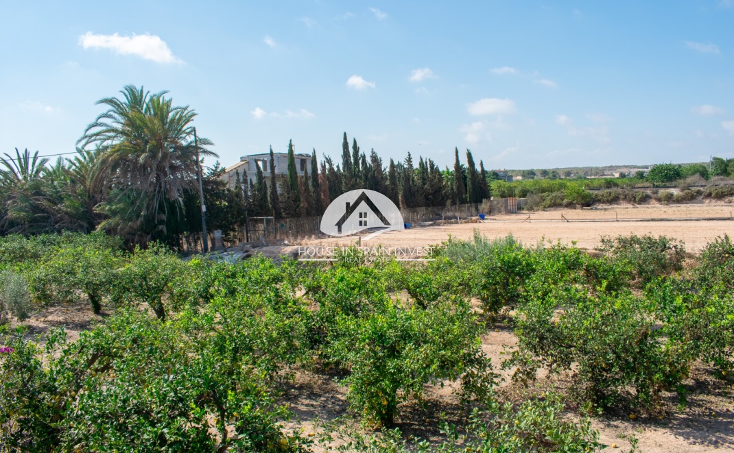 Resale - Villa - Guardamar del Segura - Guardamar - El Raso