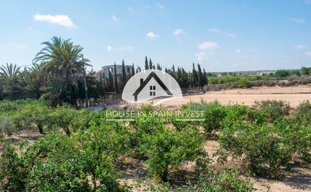 Resale - Villa - Guardamar del Segura - Guardamar - El Raso