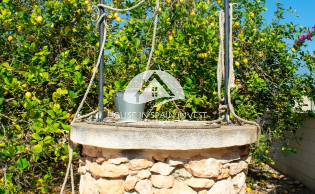 Resale - Villa - Guardamar del Segura - Guardamar - El Raso