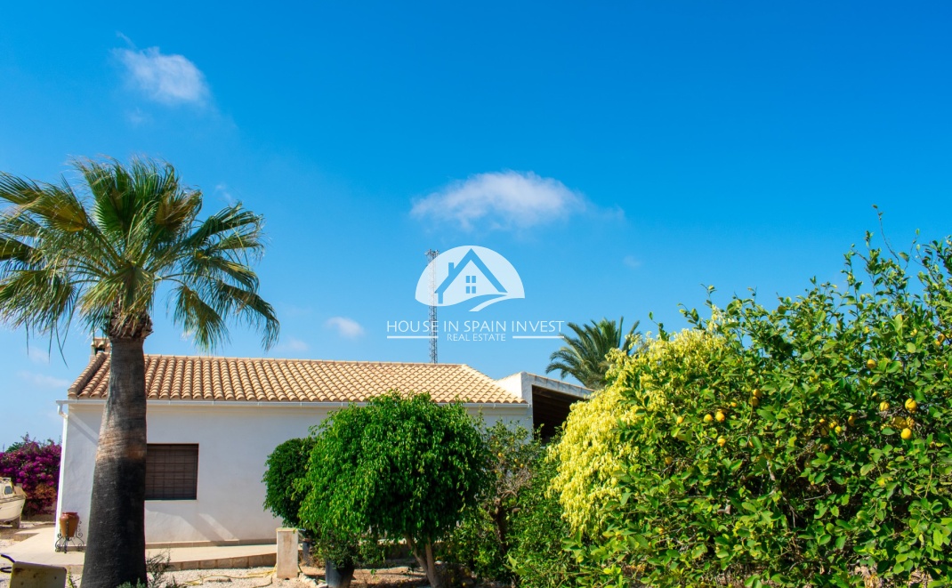 Resale - Villa - Guardamar del Segura - Guardamar - El Raso