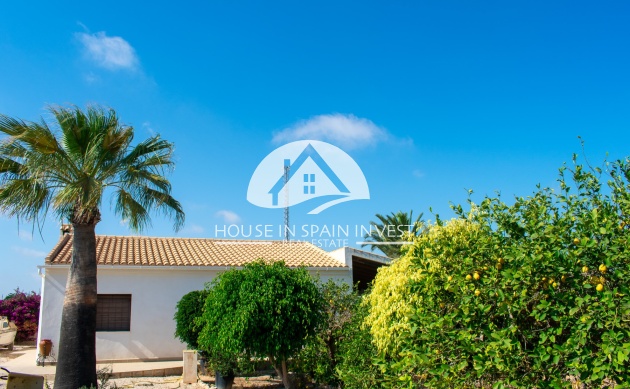 Resale - Villa - Guardamar del Segura - Guardamar - El Raso
