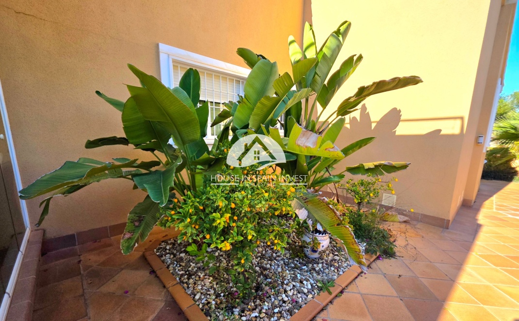 Resale - Villa - Torrevieja - Cabo Cervera