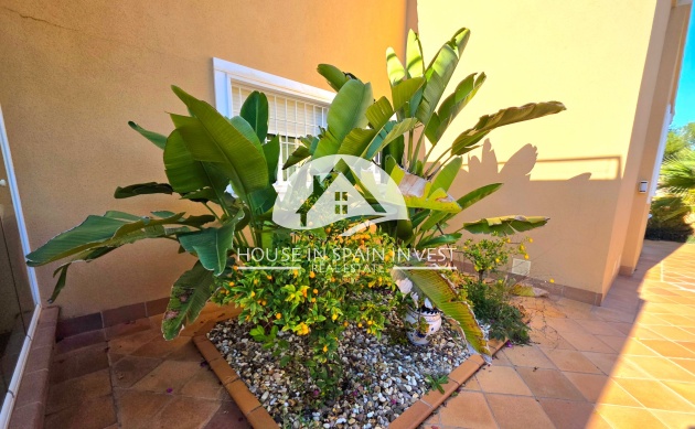 Resale - Villa - Torrevieja - Cabo Cervera