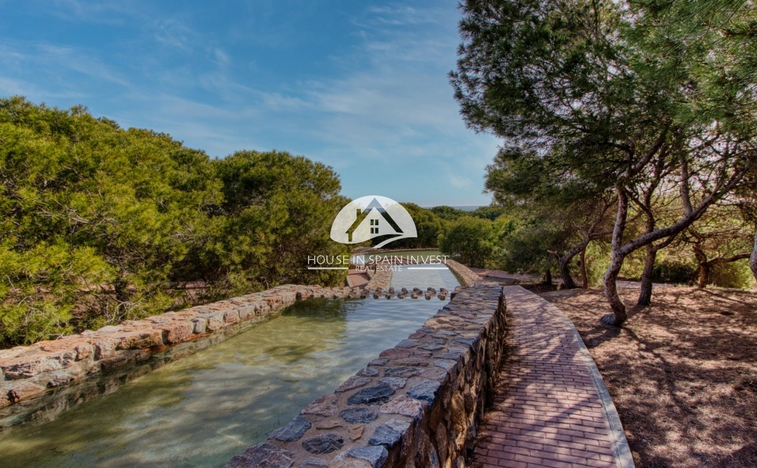 Resale - Apartment  - Torrevieja - Centro