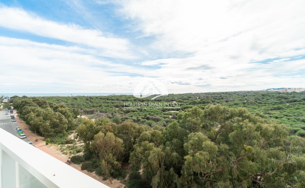 Resale - Apartment  - Guardamar del Segura - Puerto Deportivo