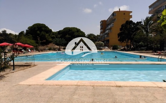 Resale - Apartment  - Guardamar del Segura - Pinomar