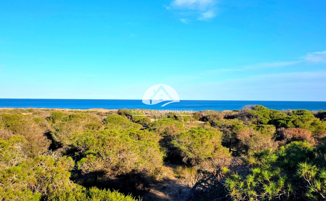 Resale - Apartment  - Guardamar del Segura - Pinomar