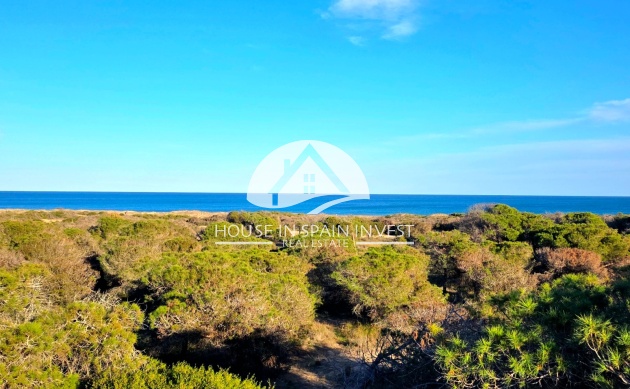 Resale - Apartment  - Guardamar del Segura - Pinomar