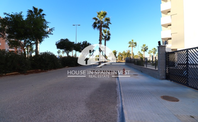 Resale - Apartment  - Guardamar del Segura - Guardamar - El Raso
