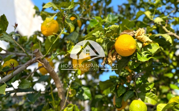 Resale - Villa - Orihuela Costa - Villamartín