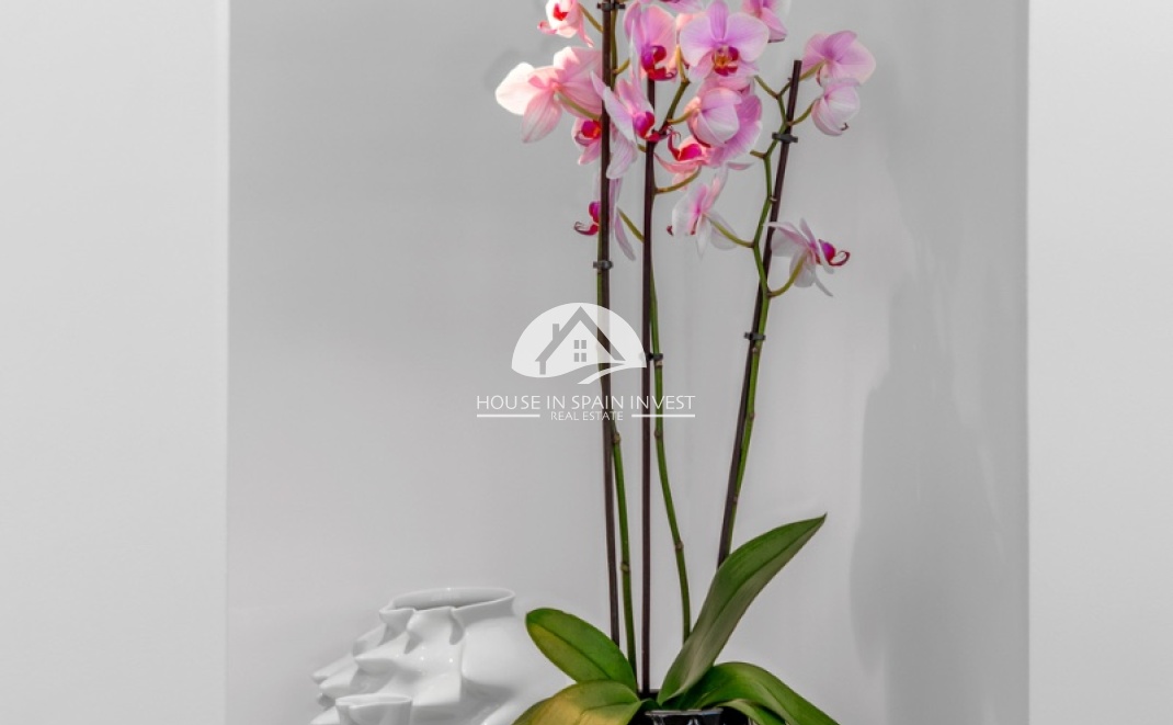 Resale - Villa - Guardamar del Segura - Guardamar - El Raso